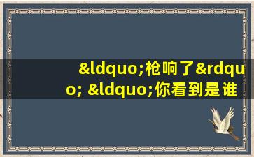 “枪响了” “你看到是谁开的枪吗”